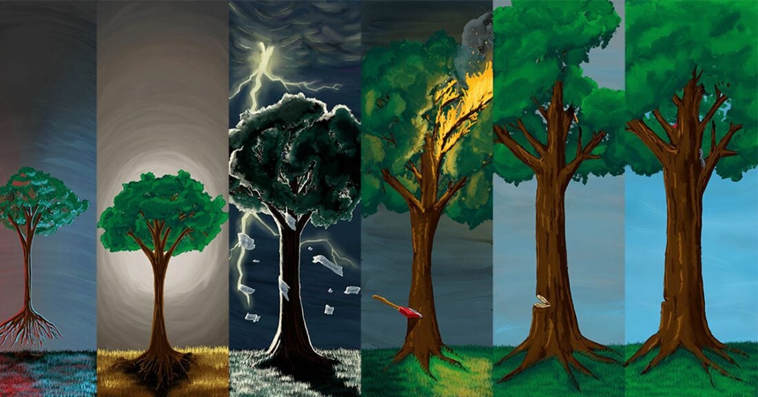 A painting depicts six phases of a tree, from unplanted sapling to near destruction to healing.