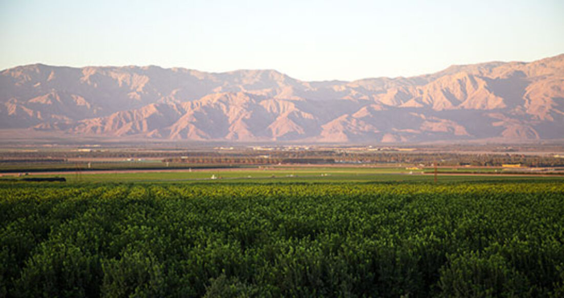 Coachella Valley, California