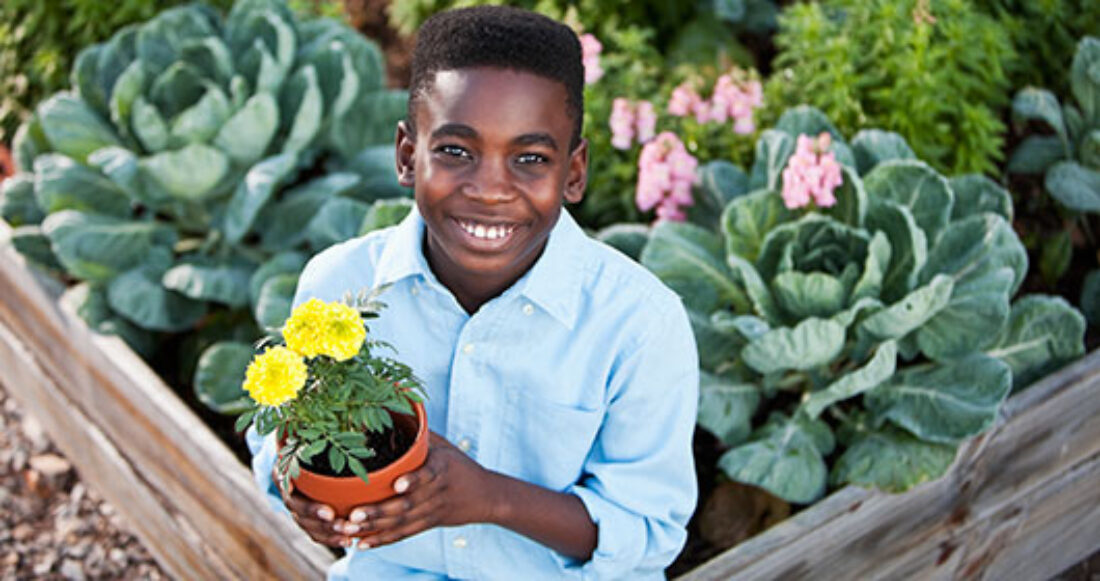 Blog introducing kids to urban gardening 2016