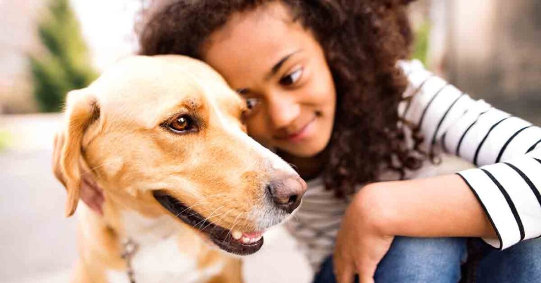 Young girl is learning to care for a dog.