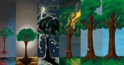 A painting depicts six phases of a tree, from unplanted sapling to near destruction to healing.