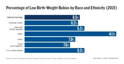 Percentage of Low Birth-Weight Babies by Race and Ethnicity (2021)