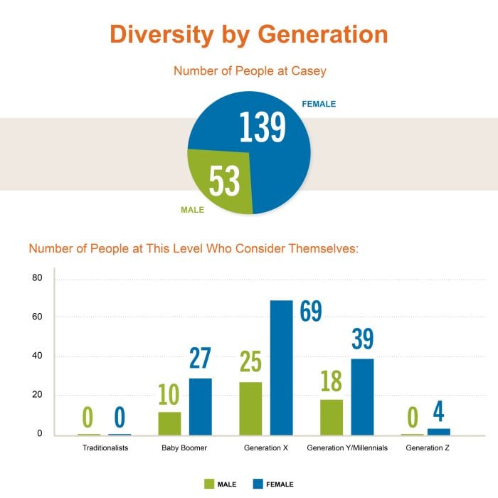 Casey Staff by Generation, Gender and Race