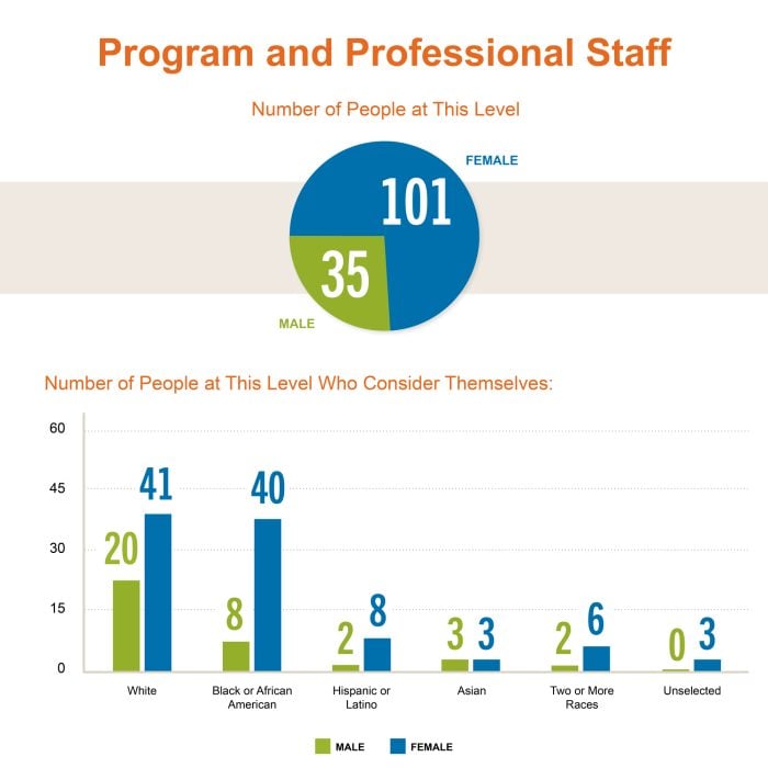 Casey Program Staff by Gender and Race