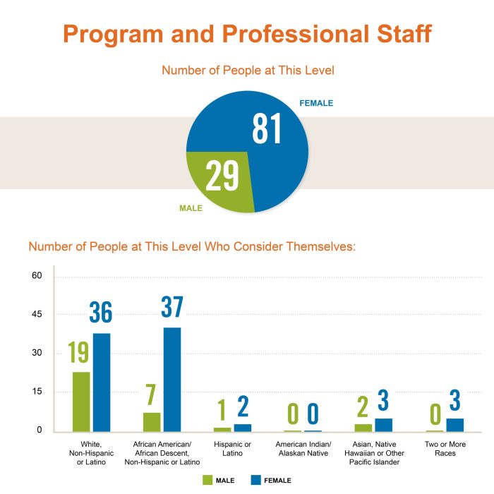 Diversity of Casey's Program and Professional Staff (2021)